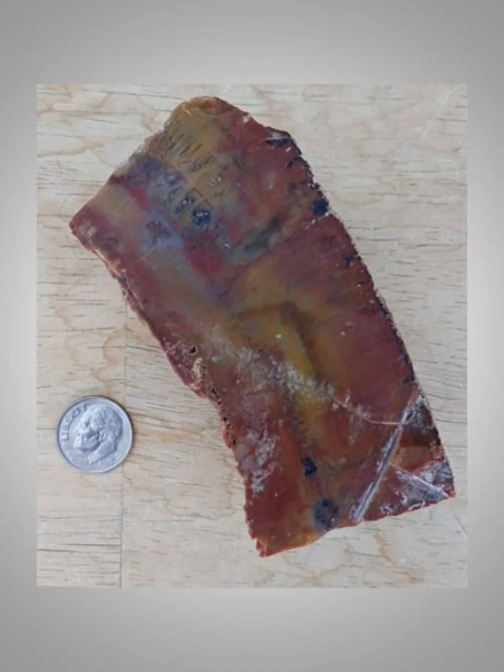 #5 Petrified Wood chunk stone fossil FORTUNE strength CALMNESS